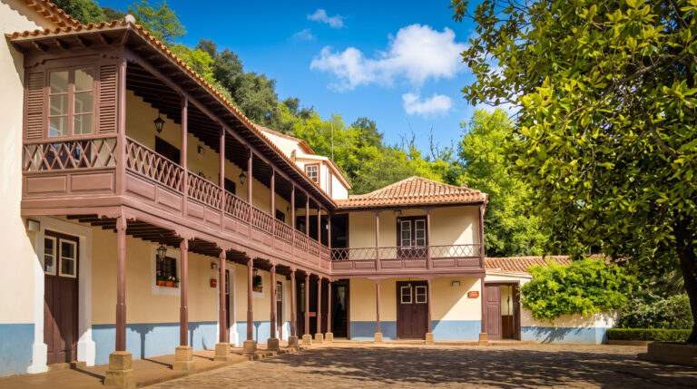 Finca de Osorio bei Teror auf Gran Canaria – uralte Lorbeerwälder, Wanderwege und eine der seltensten Waldlandschaften der Insel.