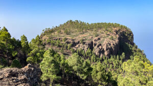 Blick auf das flache Gipfelplateau des Roque Faneque.