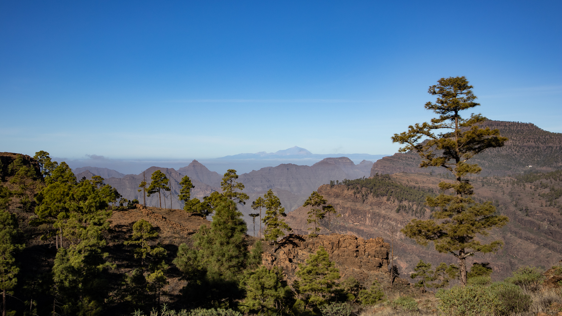 Die Aufstiegsroute zum Montaña Tauro belohnt mit einem weiten Panorama – am Horizont zeichnet sich die Silhouette Teneriffas ab.