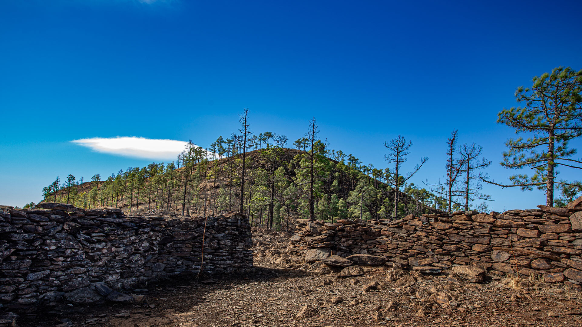 Hinter den Mauerresten der Iglesia de los Canarios erhebt sich der Gipfel des Montaña Tauro.