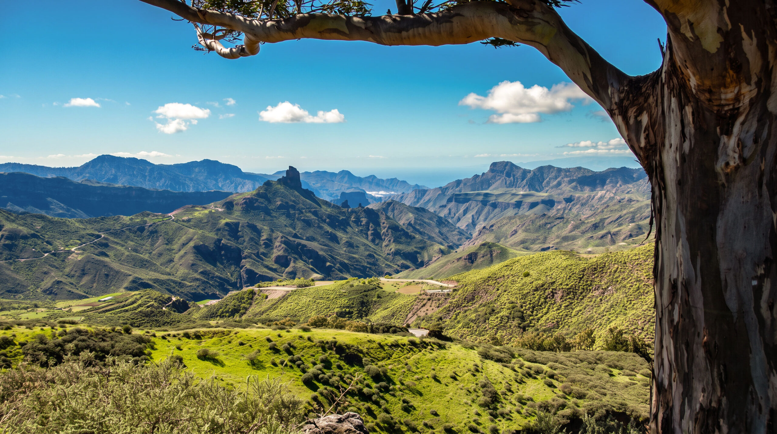 Vom Mirador Cruz de Tejeda entfaltet sich ein weites Panorama über die Bergwelt Gran Canarias.