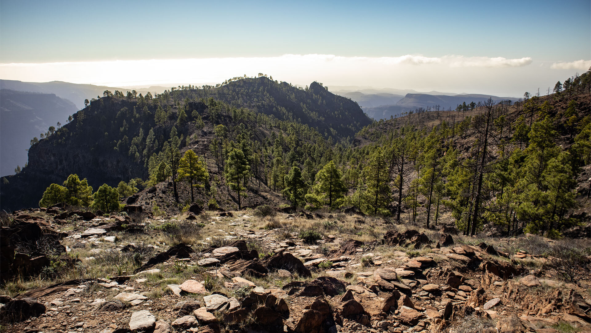 Vom Plateau des Tauro rückt die Montaña de los Cardones ins Bild – ein weiterer Gipfel in der wilden Bergkulisse Gran Canarias.