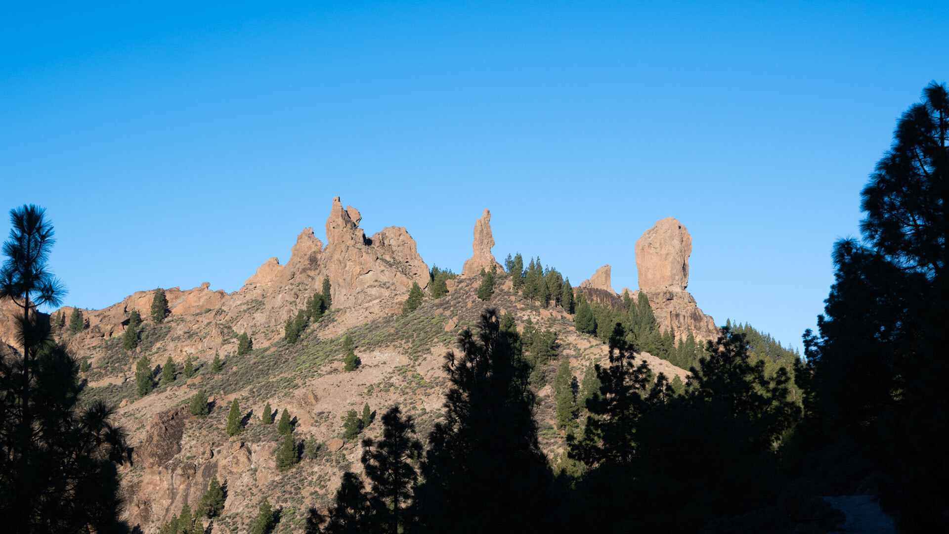 Ausblick zum Gipfelplateau des Roque Nublo.