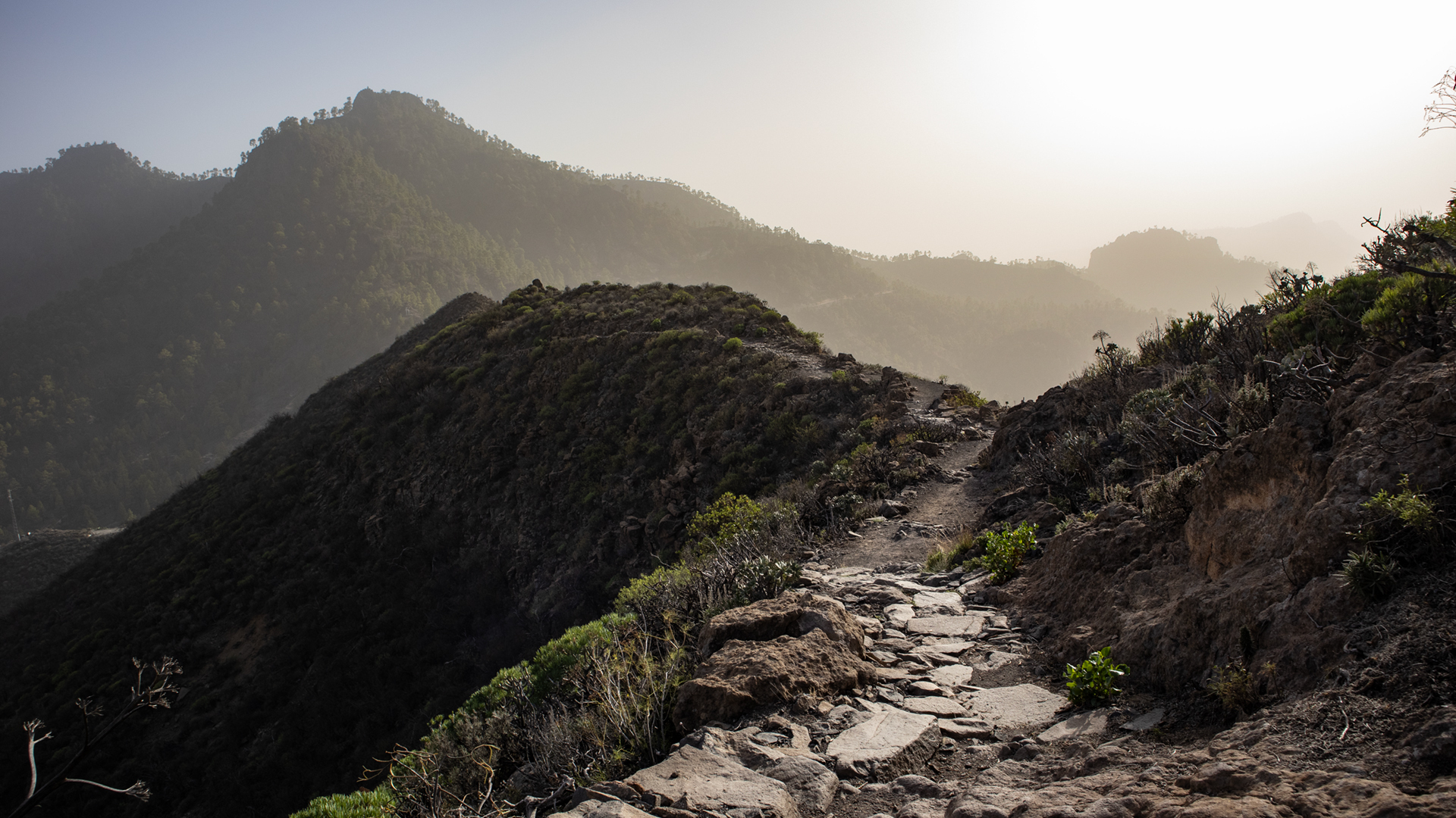 Der historische Camino de la Plata führt durch die schroffe Felslandschaft des Nublo-Naturparks.