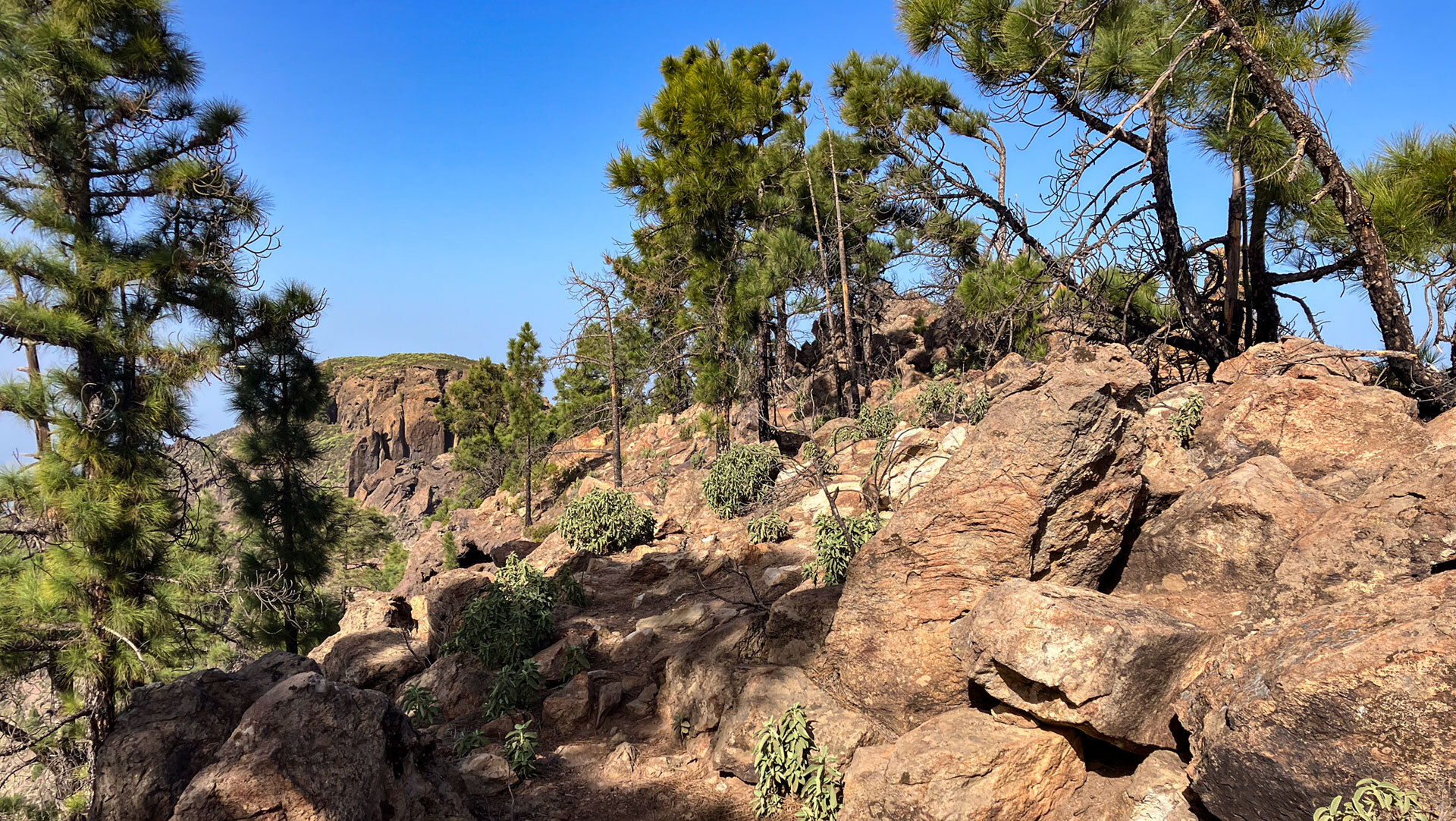 Felsiges Terrain auf der Tamadaba-Faneque-Route.