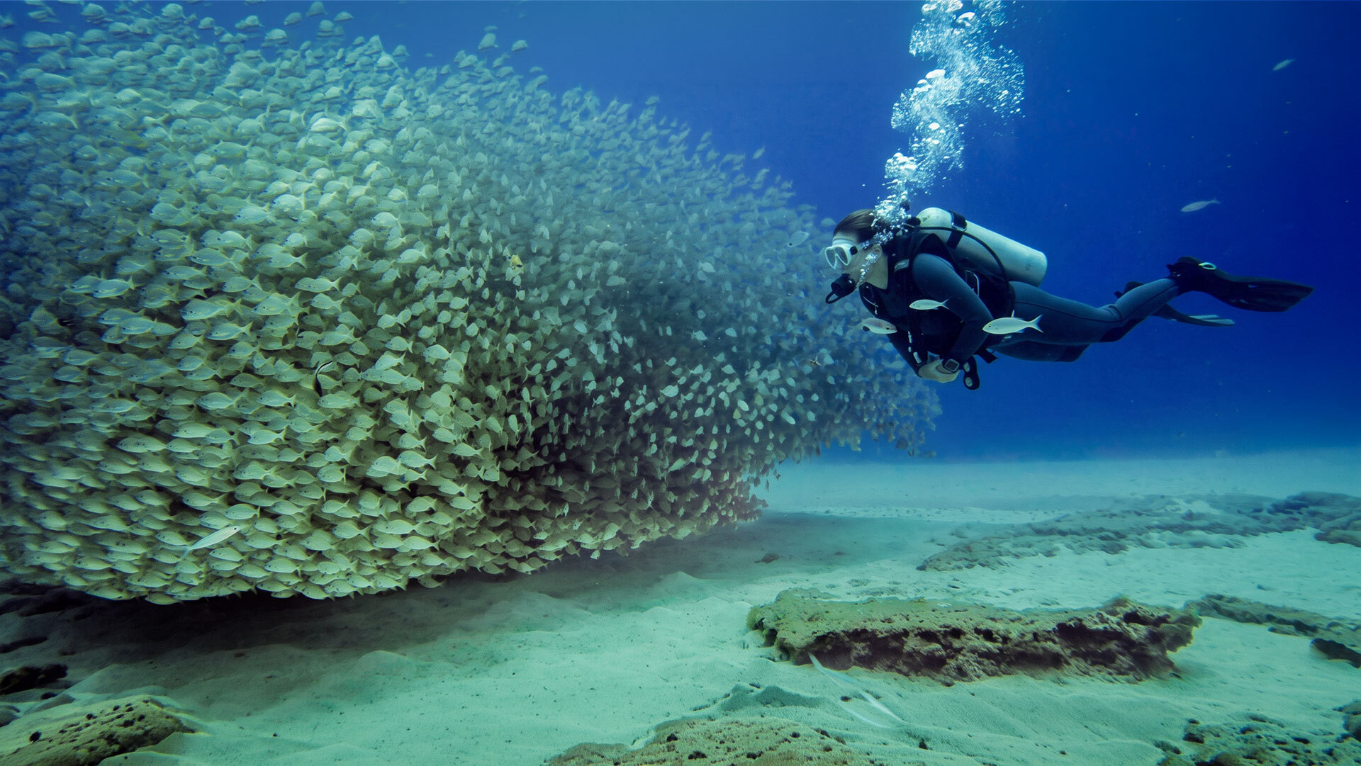 Tauchen auf Gran Canaria bietet klares Wasser und eine vielfältige Unterwasserwelt entlang der vulkanischen Küste.