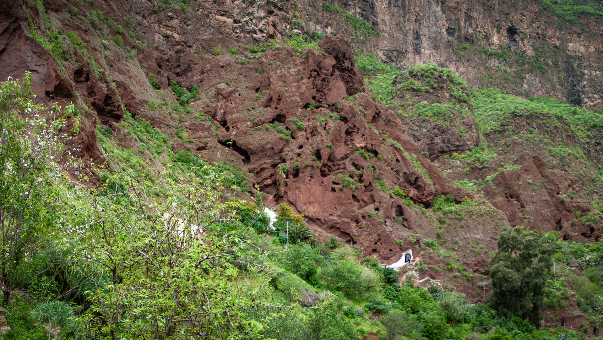 Poröser Tuffstein prägt die Guayadeque-Schlucht – weiche Vulkanasche, die sich mühelos zu Höhlen und Wohnräumen aushöhlen ließ.