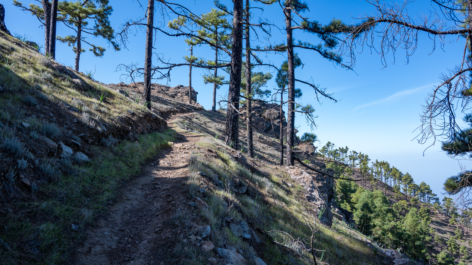 Traumhafte Wanderpfade durchziehen den Naturpark Tamadaba