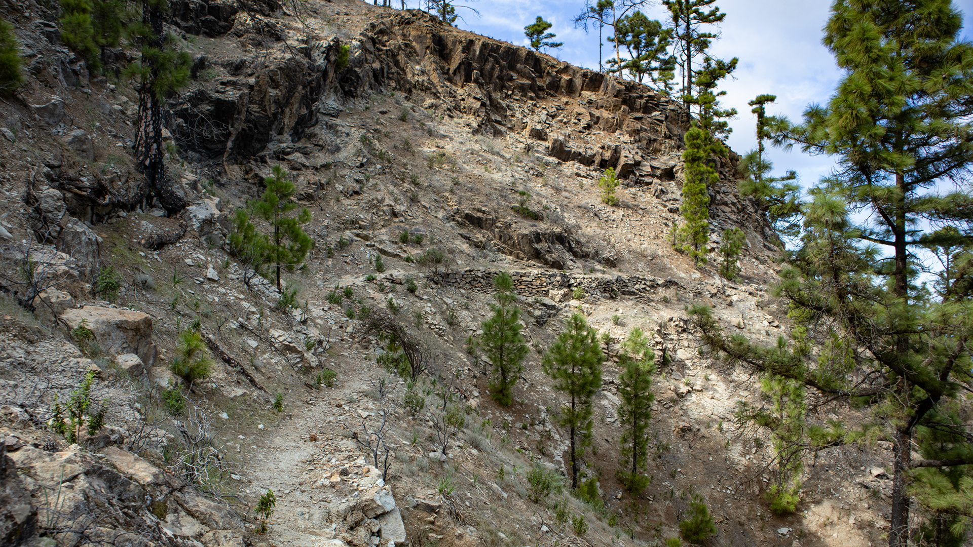 Wanderweg zum Barranco de la Hoya del Laurel.