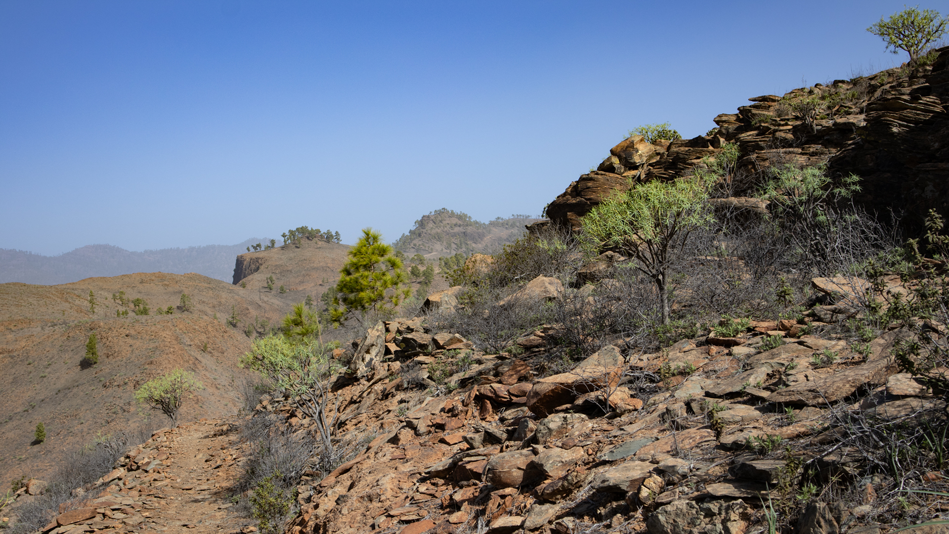 Die karge Bergwelt des Monumento Natural de Tauro zeigt eine typische Hochebene im Südwesten Gran Canarias.