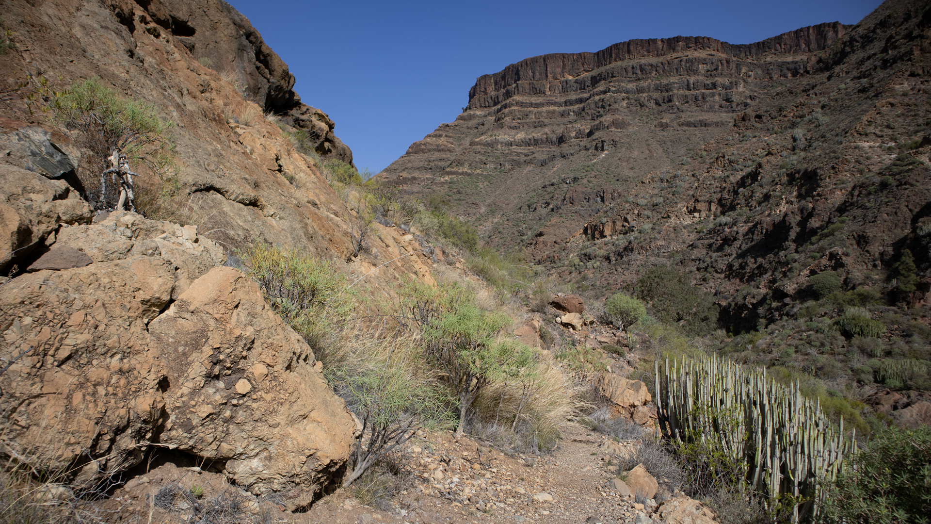 Wanderung Montaña Tauro - Barranco de Tauro im Südwesten Gran Canarias.