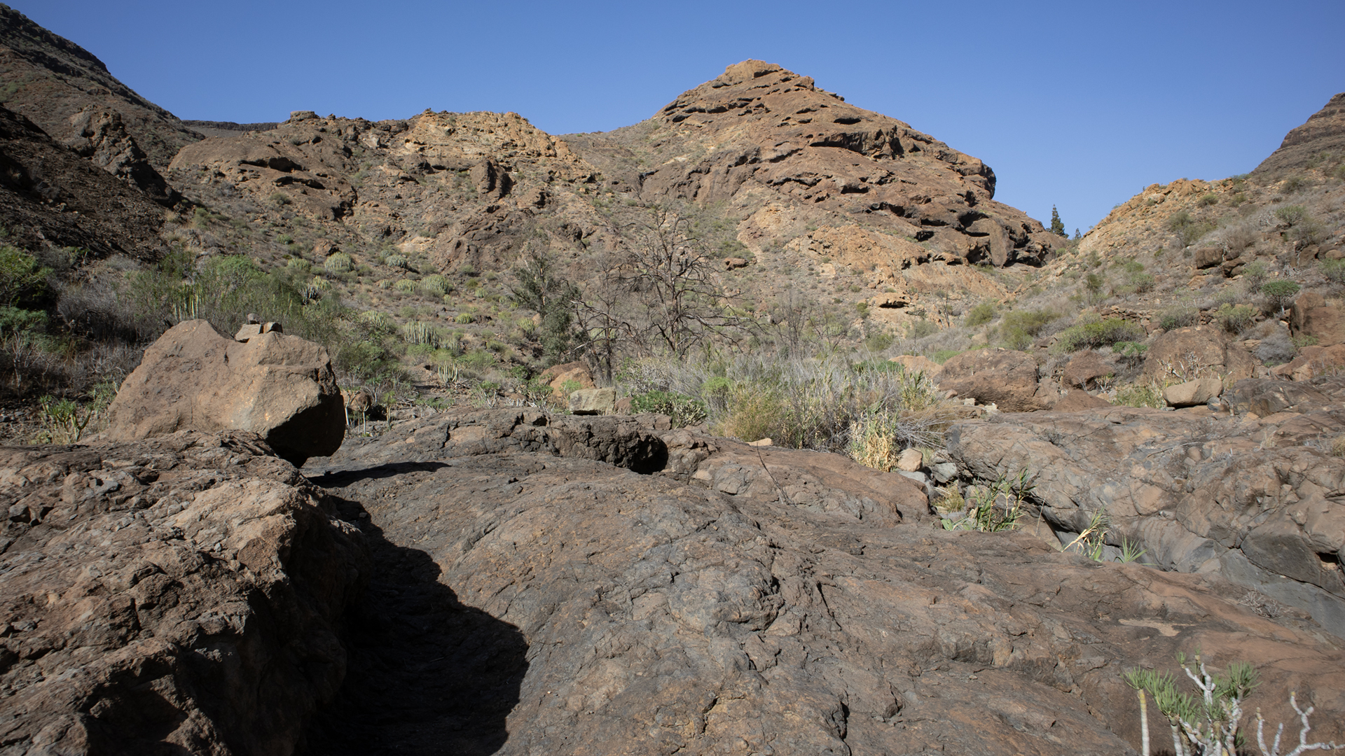 Roque Nublo und Rana erheben sich oberhalb des Risco La Fogalera.