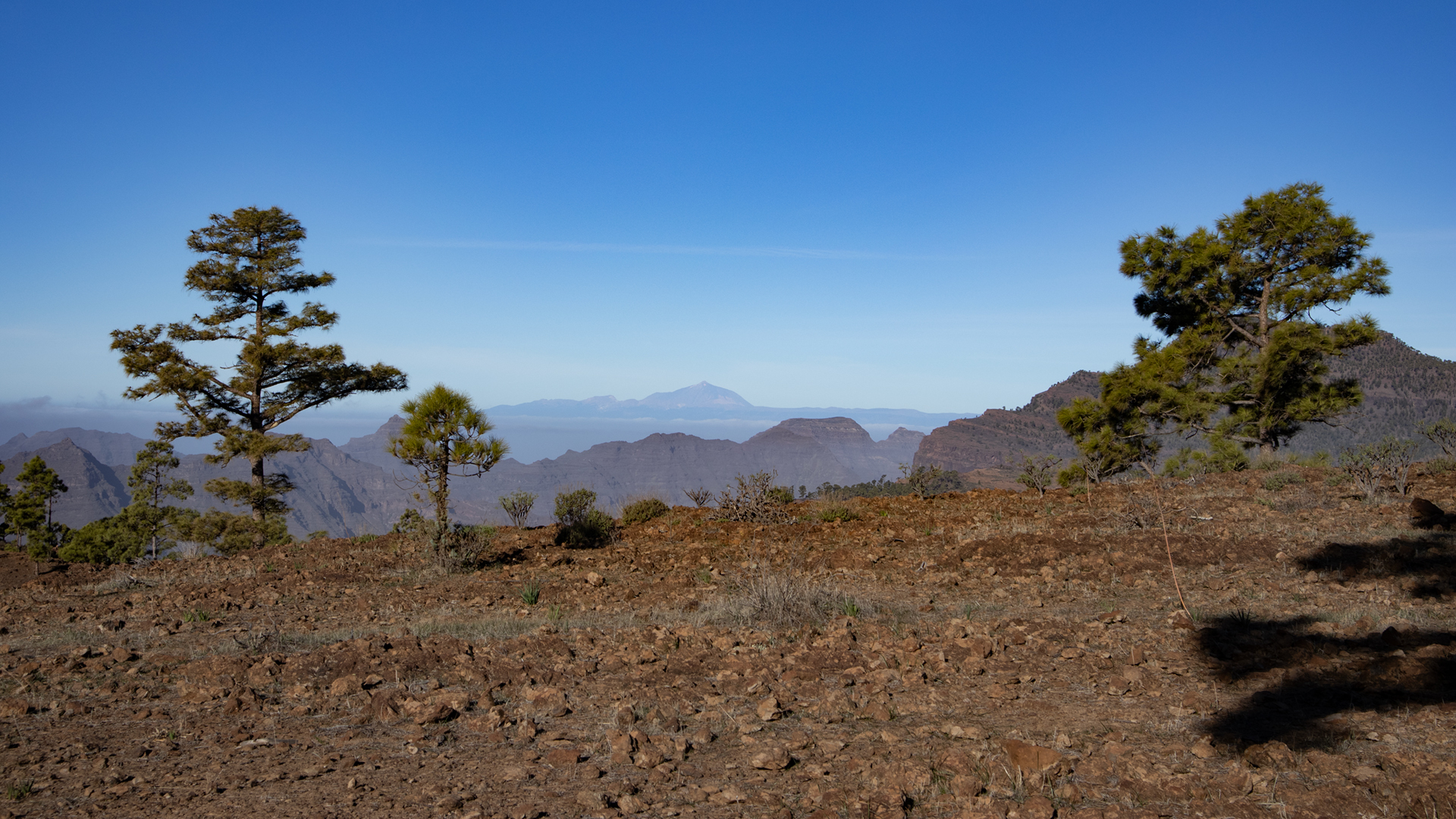 Der Aufstieg ins Bergmassiv des Tauro bietet einen Blick bis zur Nachbarinsel Teneriffa.