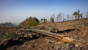 Die Hochebene des Montaña Tauro – eine karge Landschaft im Südwesten Gran Canarias.