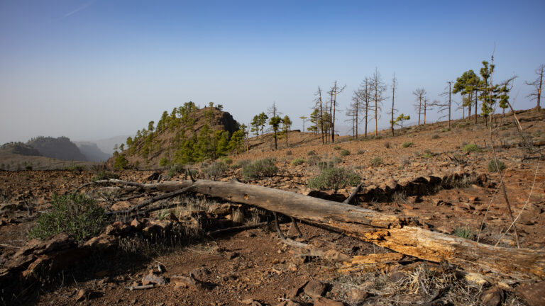 Die Hochebene des Montaña Tauro – eine karge Landschaft im Südwesten Gran Canarias.