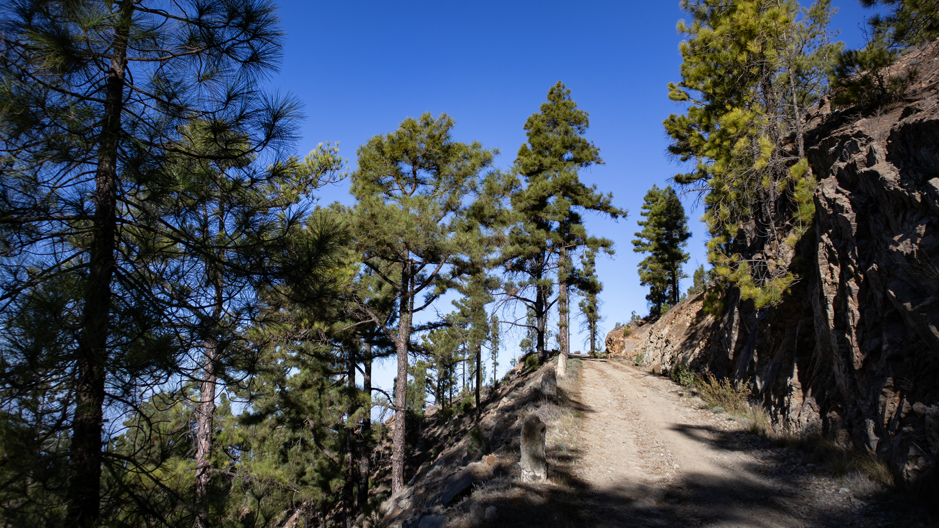 Rückweg über die Pista de Tirma zum Forsthaus.