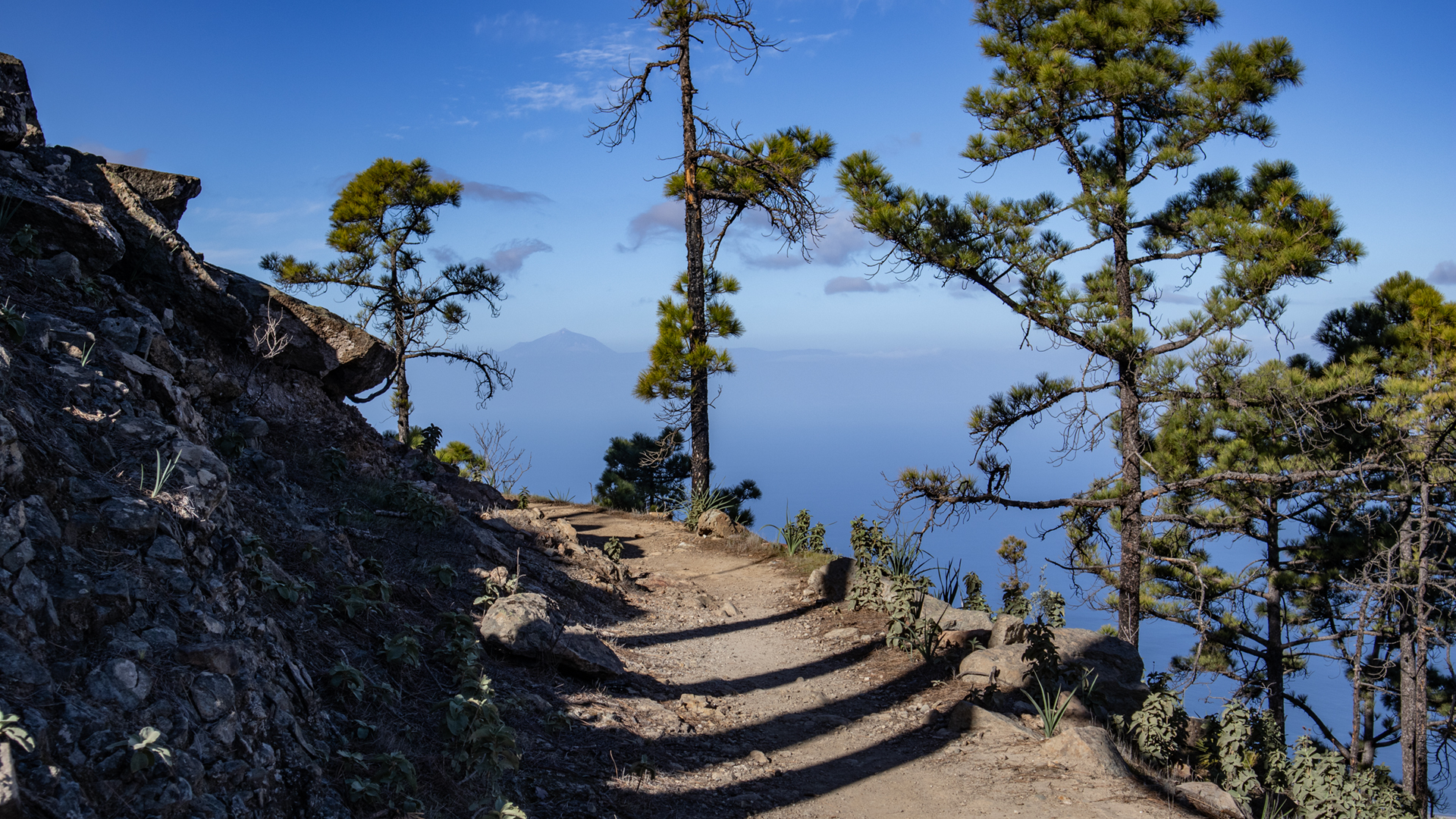 Die Wanderung durch den Tamadaba schenkt immer wieder freien Blick auf Teneriffa