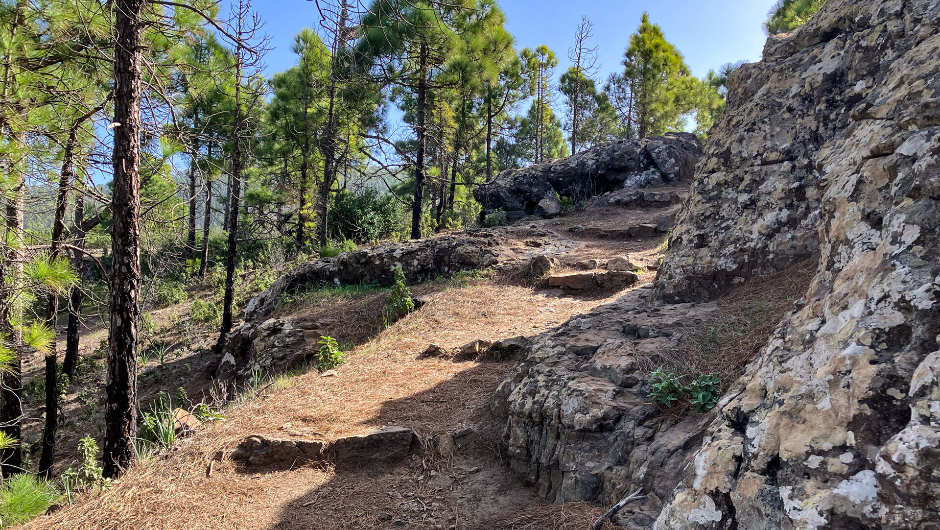 Die Wandertour zum Roque Faneque führt durch Fels und Kiefernwald des Naturparks Tamadaba.