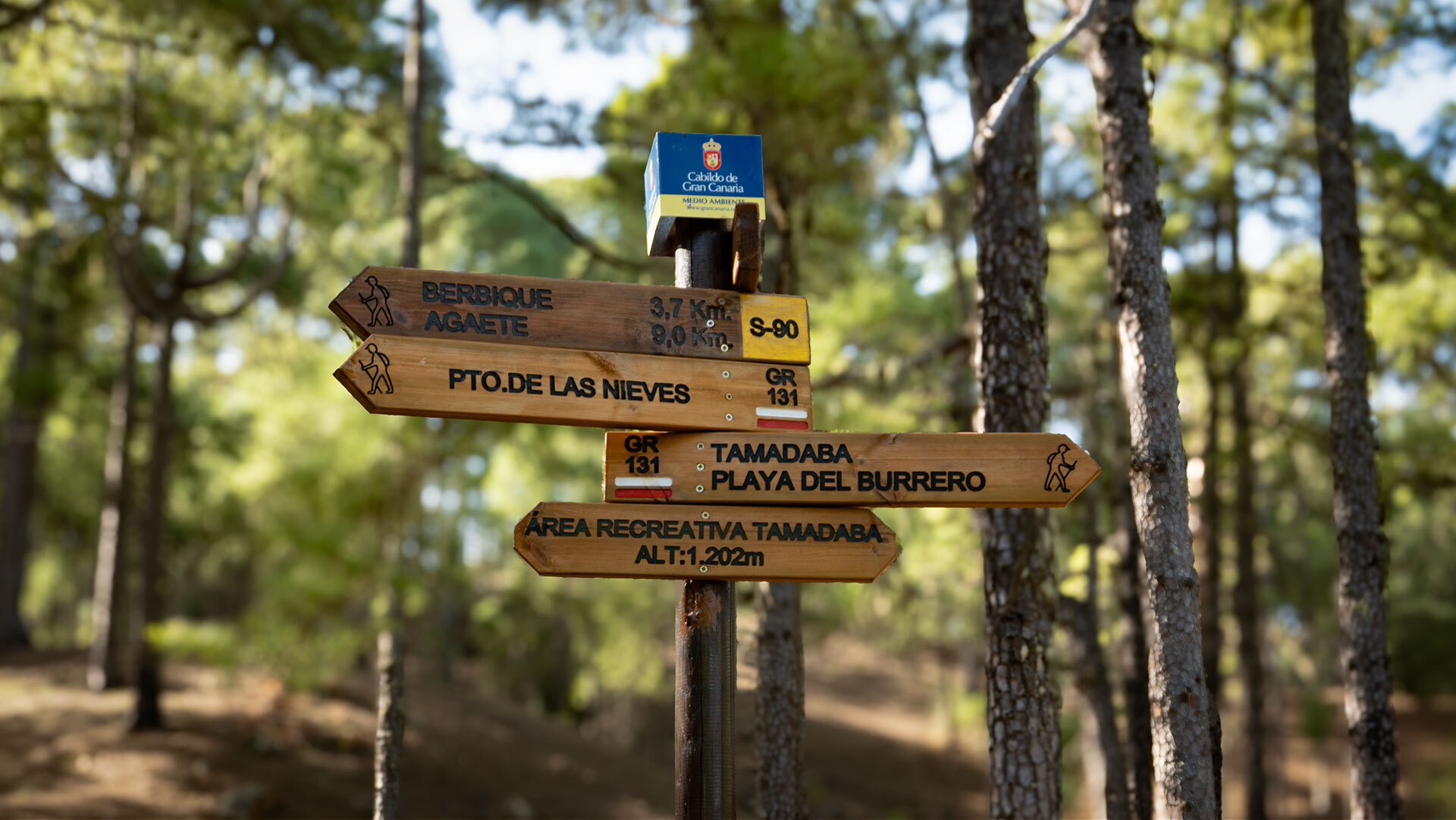 Llanos de la Mimbre (Área recreativa Tamadaba) – idealer Rastplatz zur Halbzeit.