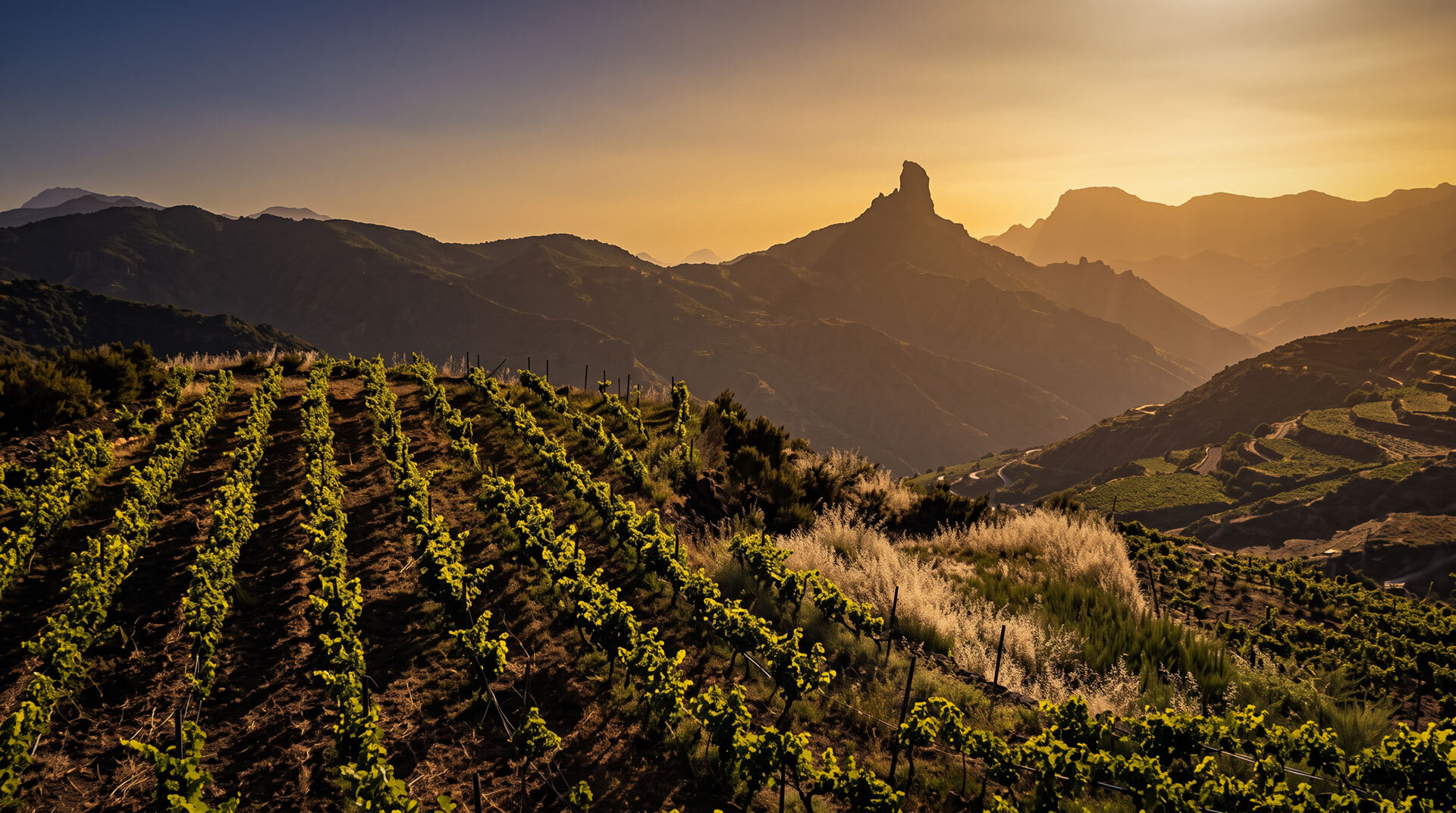 Der Weinbau prägt Teile Gran Canarias mit terrassierten Rebhängen – Zeugnis jahrhundertealter Anbautradition auf vulkanischem Boden.